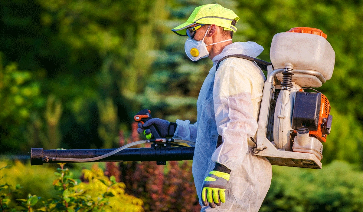 Eco-Friendly Pest Control Solutions That Really Work