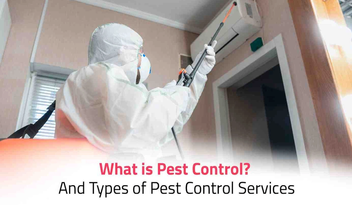 Types of Pest Control Services and Methods
