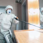 Effective Pest Control Tips for Every Household