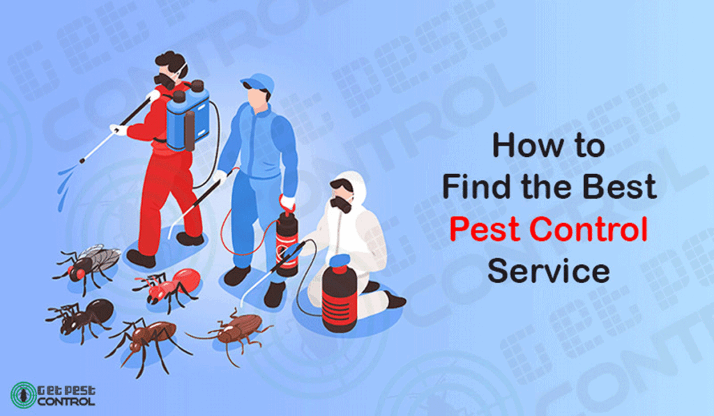 Home Safe and Pest-Free, Smart Ways to Control Unwanted Guests