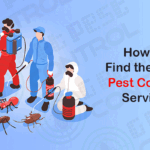 Home Safe and Pest-Free, Smart Ways to Control Unwanted Guests