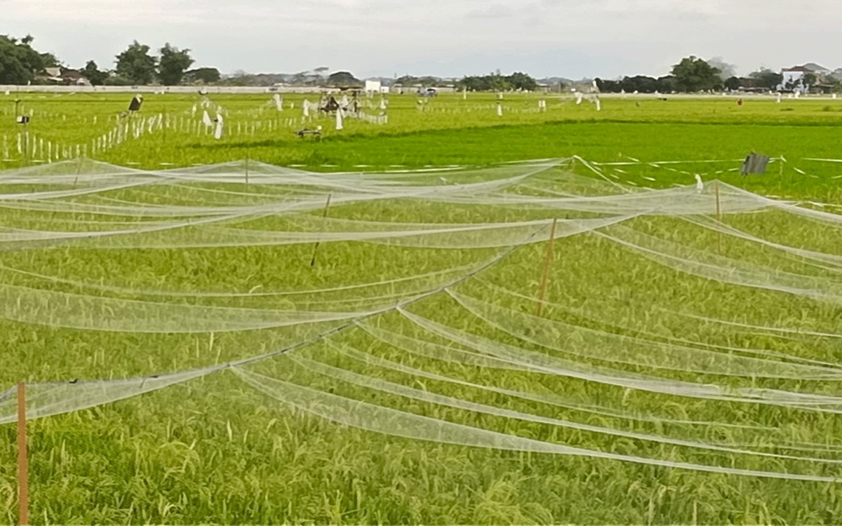 Mechanical And Biological Control Methods