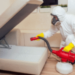 Proactive Pest Prevention: Indoor And Outdoor Solutions That Work