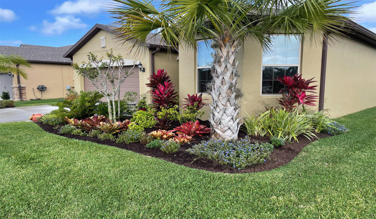 Maintain Your Yard and Garden