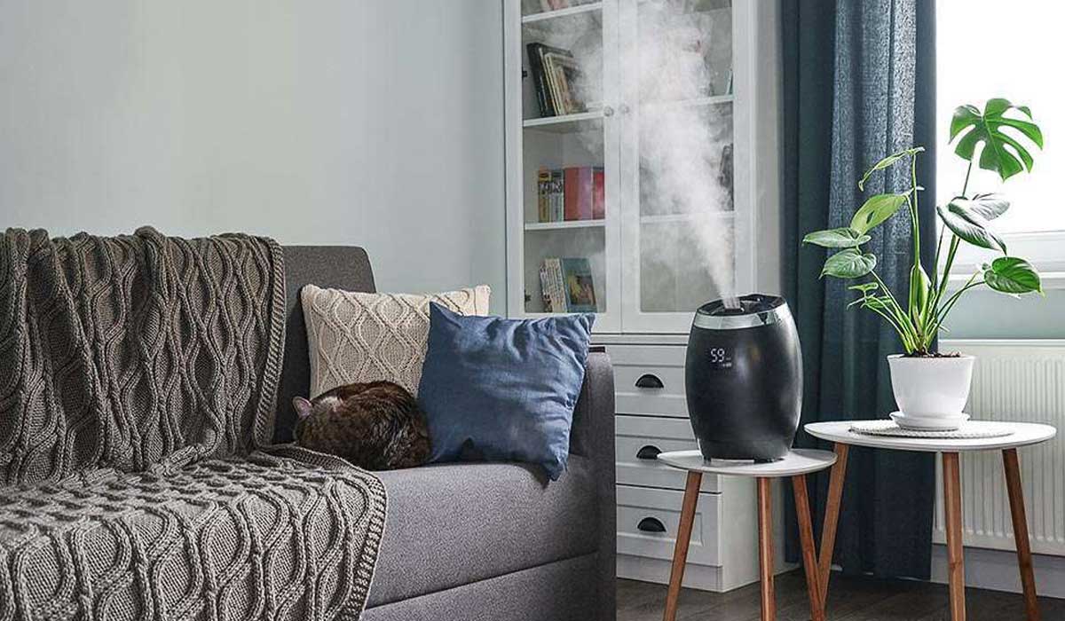 Comfortable and Healthy Home How to Overcome Humidity and Water