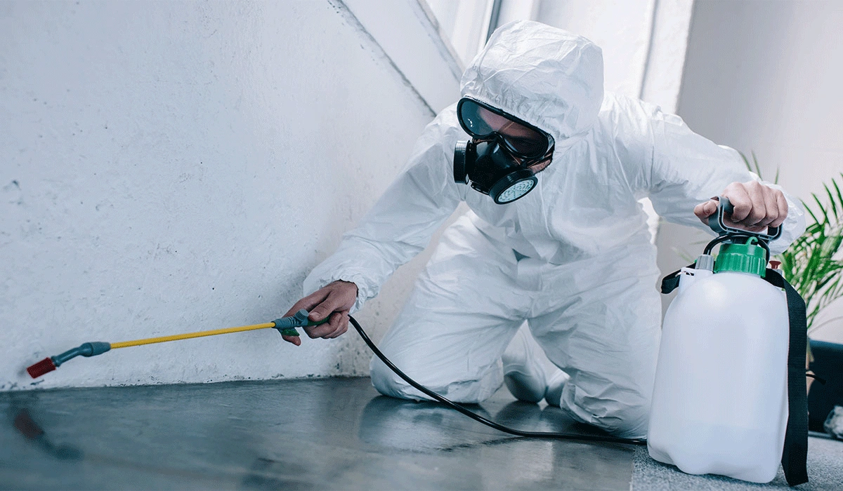 Effective Pest Control Tips to Keep Your Home Pest-Free