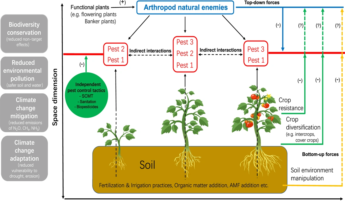 Modern Ways to Control Pests Without Damaging the Ecosystem