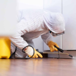 Effective Pest Control Solutions for Homes and Businesses
