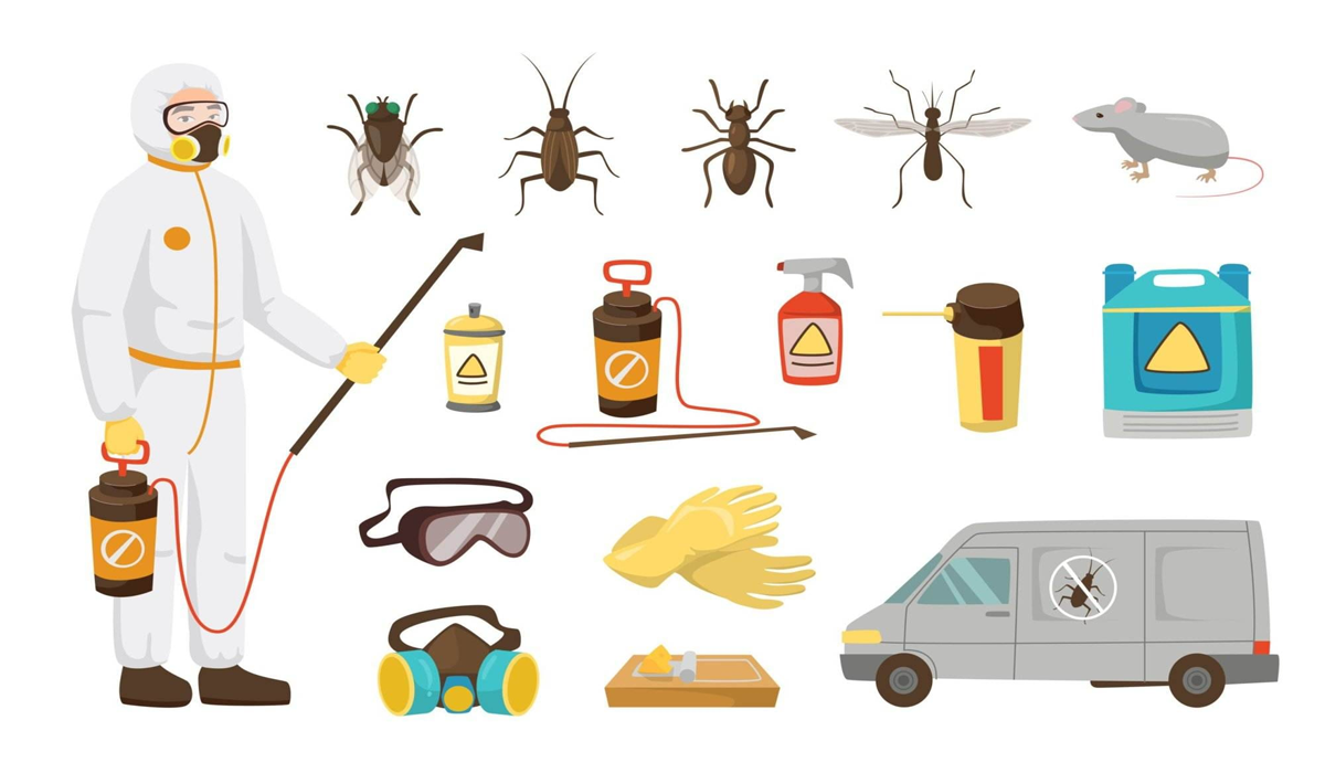 Effective Ways to Prevent Pests