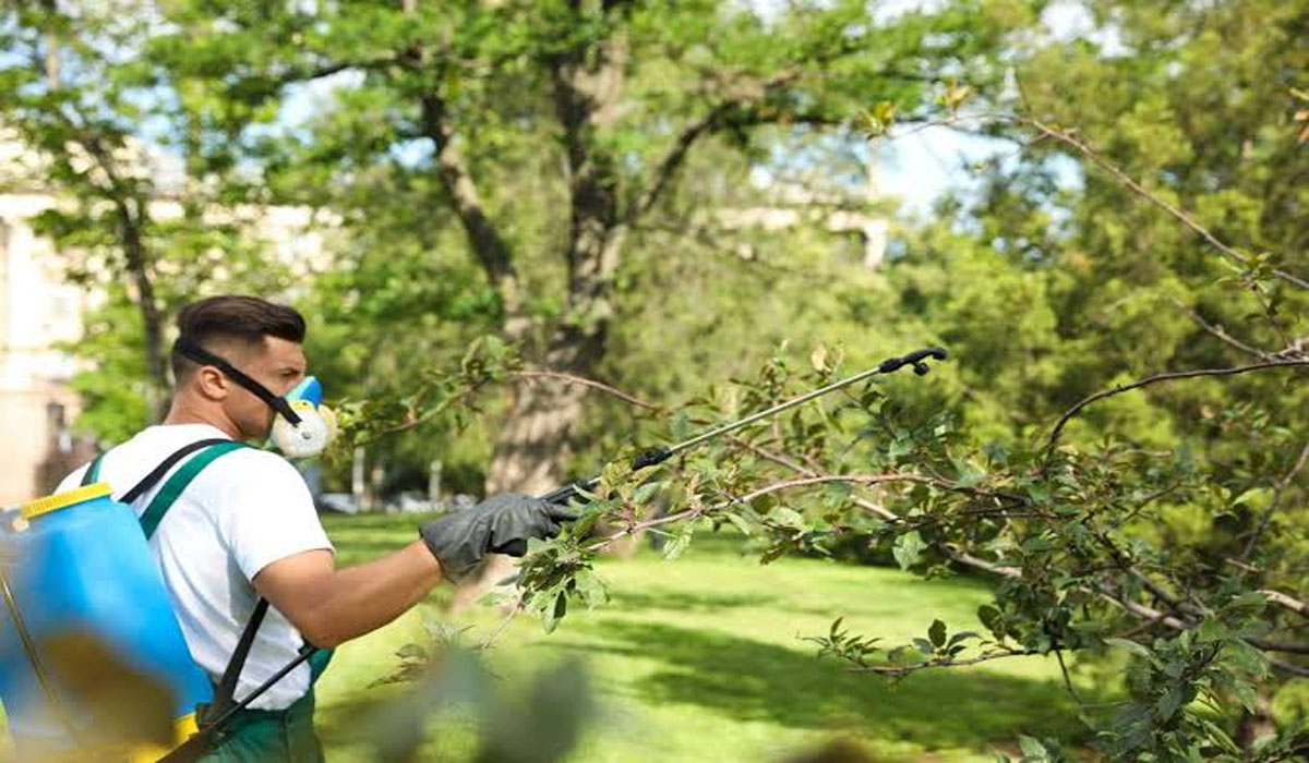 Green Methods to Keep Pests Away