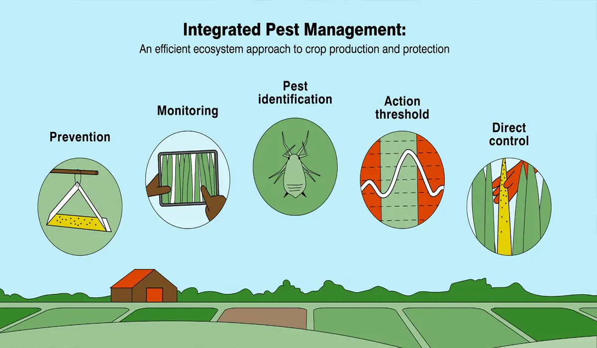 Integrated Pest Management (IPM)