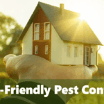 Natural Eco Friendly Pest Solutions Keep Homes Safe Always