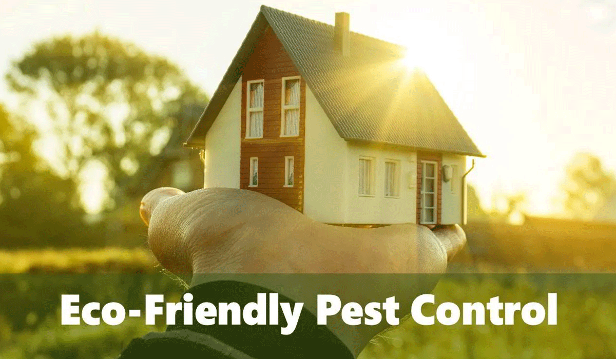 Natural Eco Friendly Pest Solutions Keep Homes Safe Always