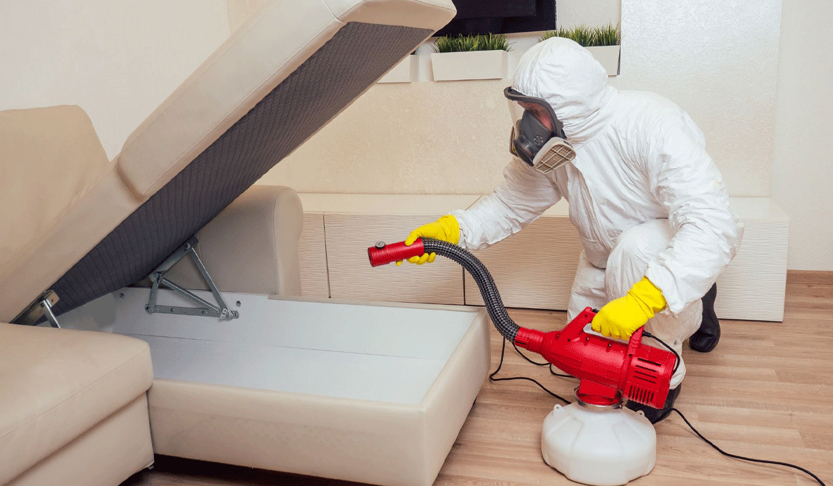 Advanced Pest Control Methods Ensure Clean Safe Living Spaces Always