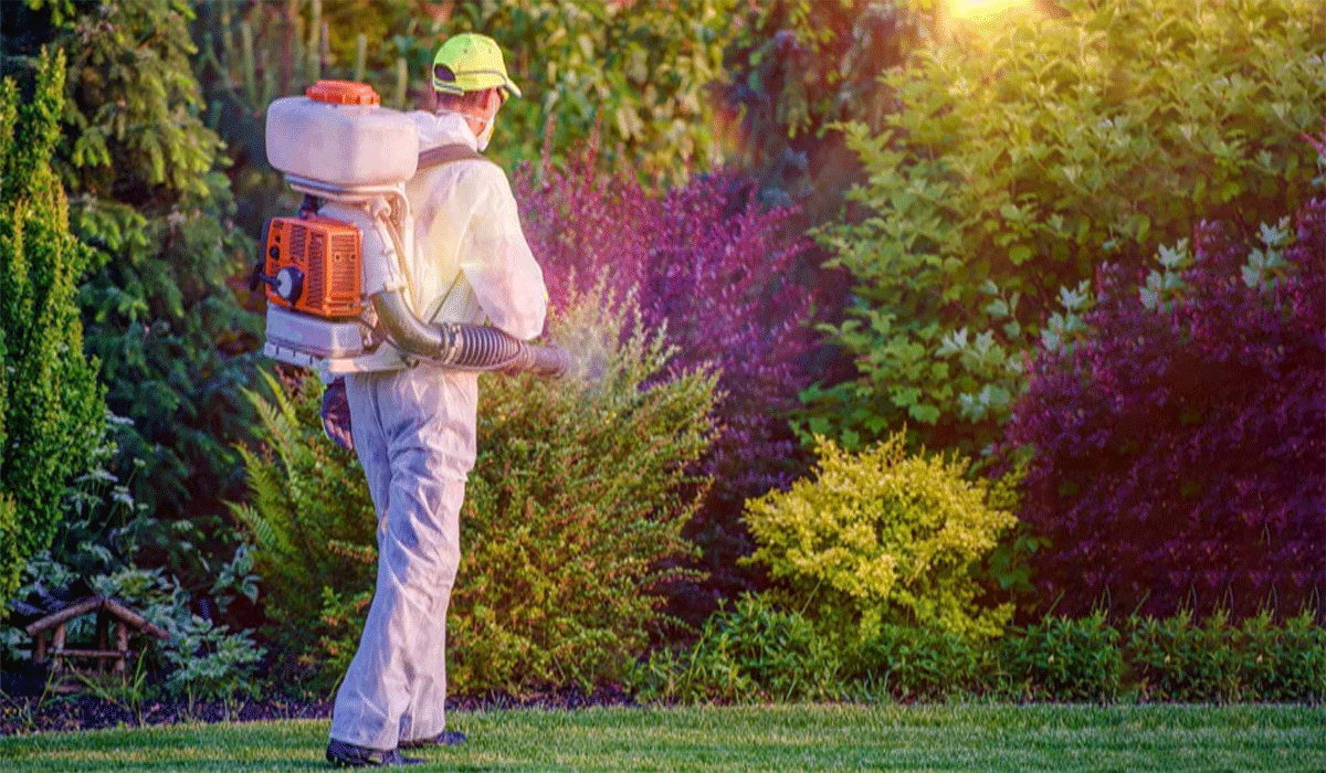 Effective Pest Prevention Management in Indoor and Outdoor Areas