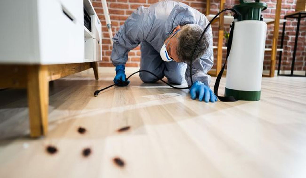 Effective Ways to Get Rid of Pests: A Guide to Maintaining a Healthy Home