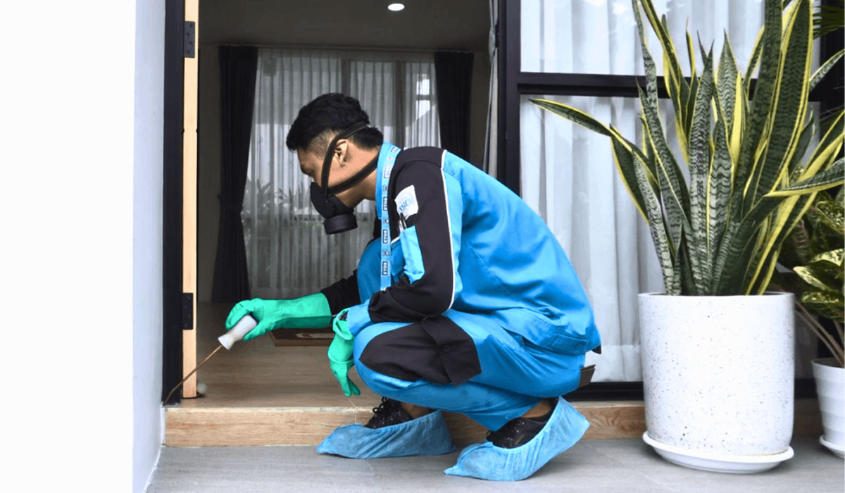 Home Repairs and Preventing Pest Entry