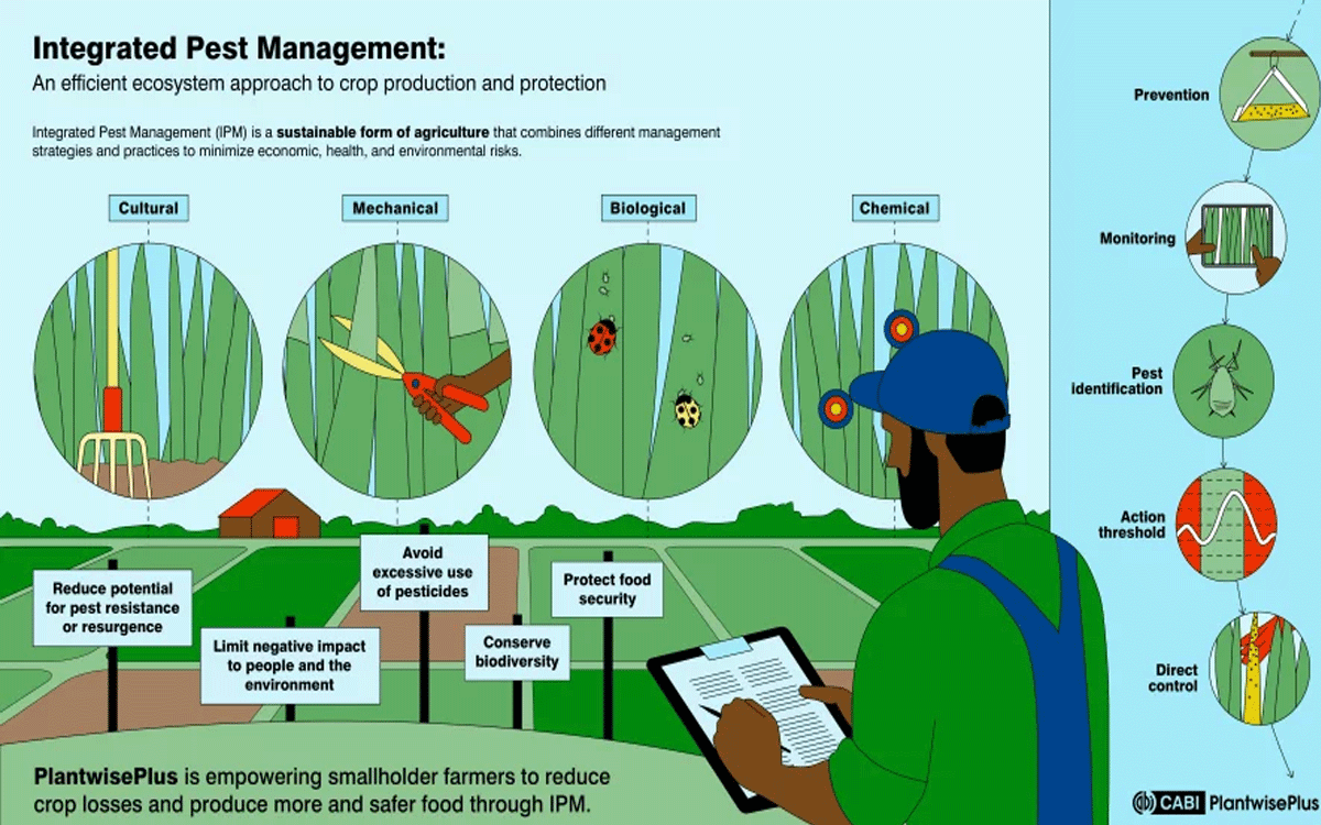 Training and Workforce Engagement
