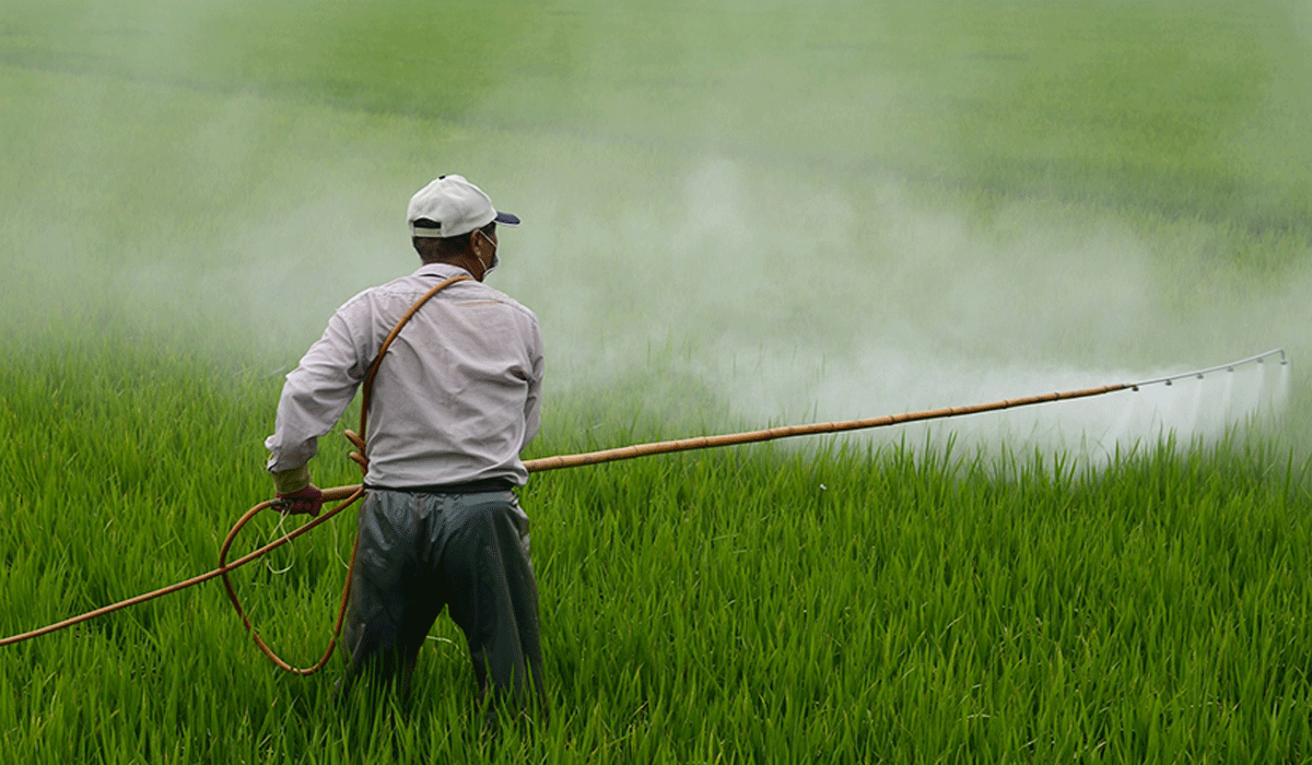 An Eco-Friendly Solution to Effectively Control Pests