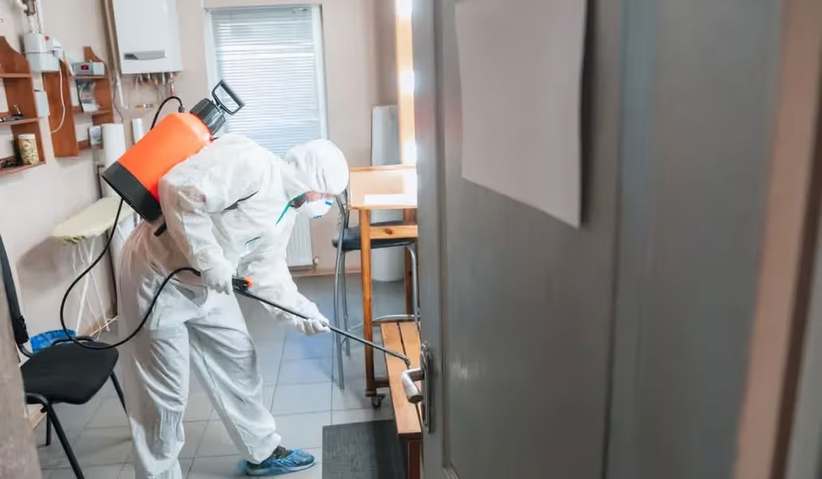 The Advantages of Using Professional Pest Control Services