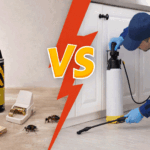 DIY vs Professional Pest Control: What You Need to Know