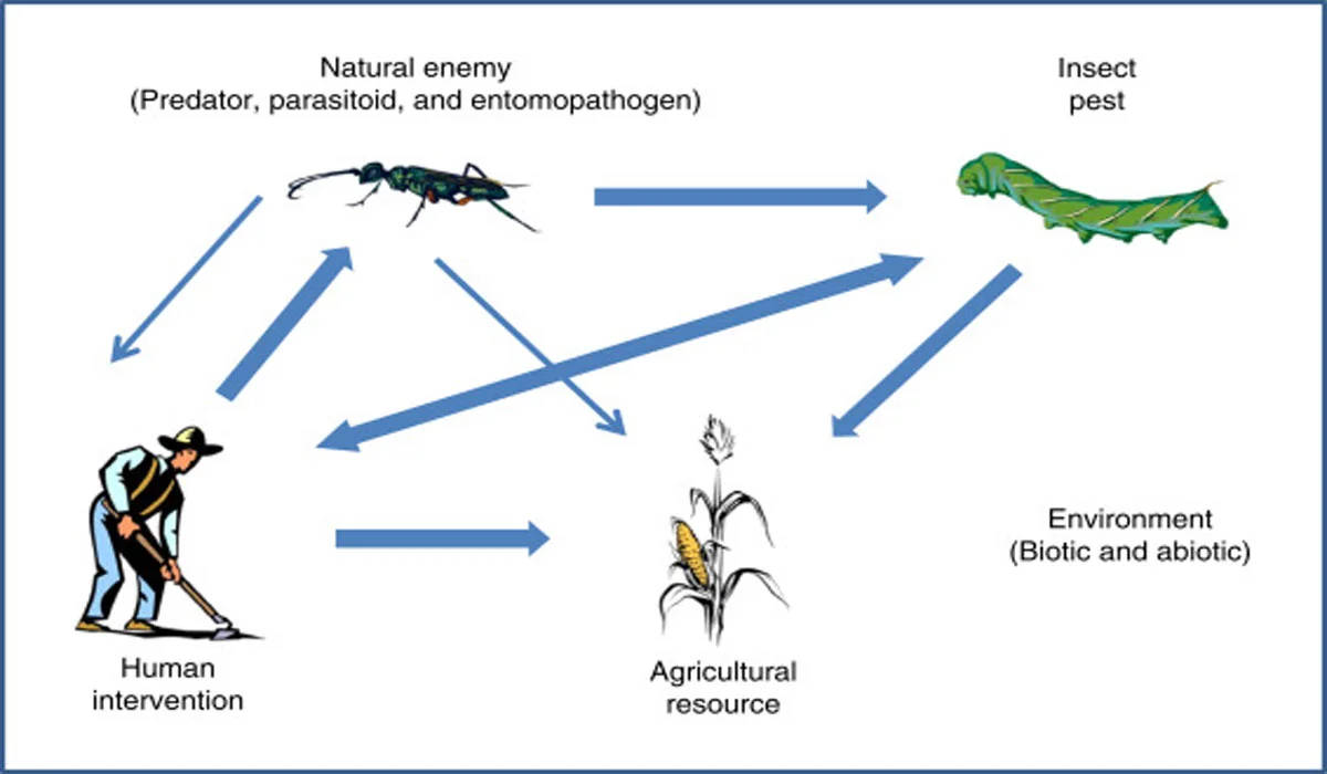 Microorganism-Based Pest Control: Opportunities and Challenges