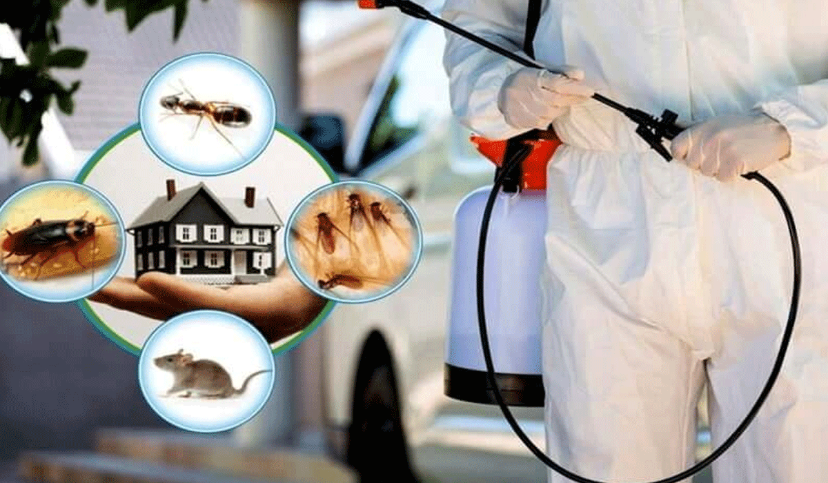 The Importance Of Preventive Pest Management