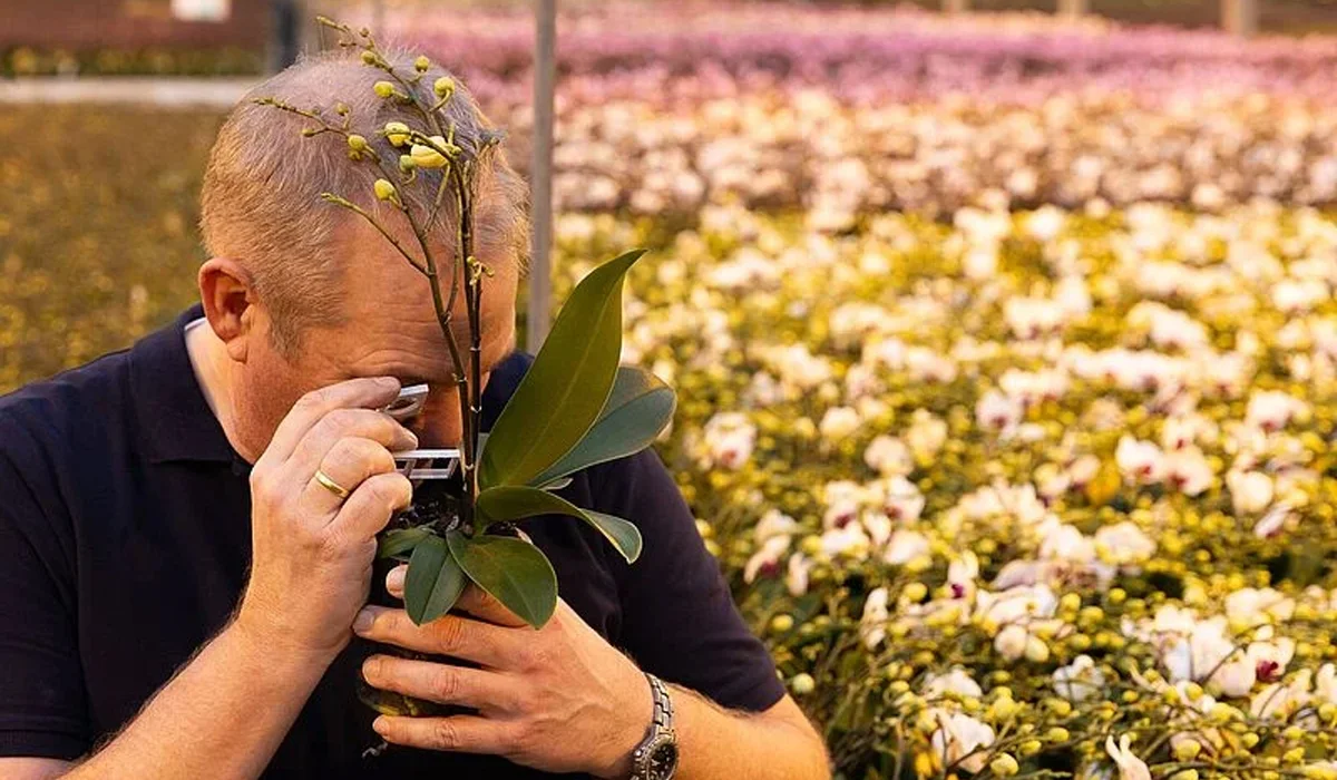Biological Control Techniques in Gardens