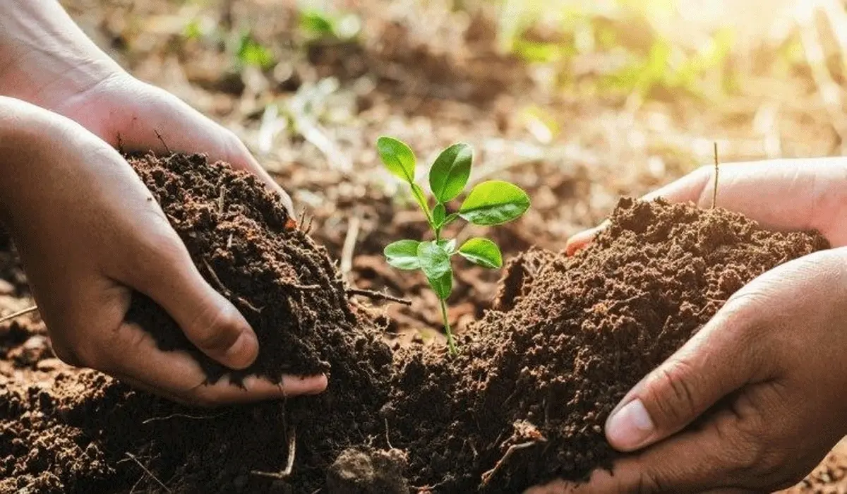 Soil Management and Land Sanitation